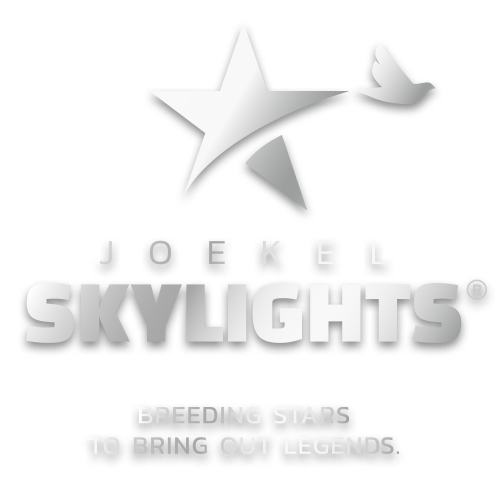 JOEKEL SKYLIGHTS – Breeding Stars to bring out Legends